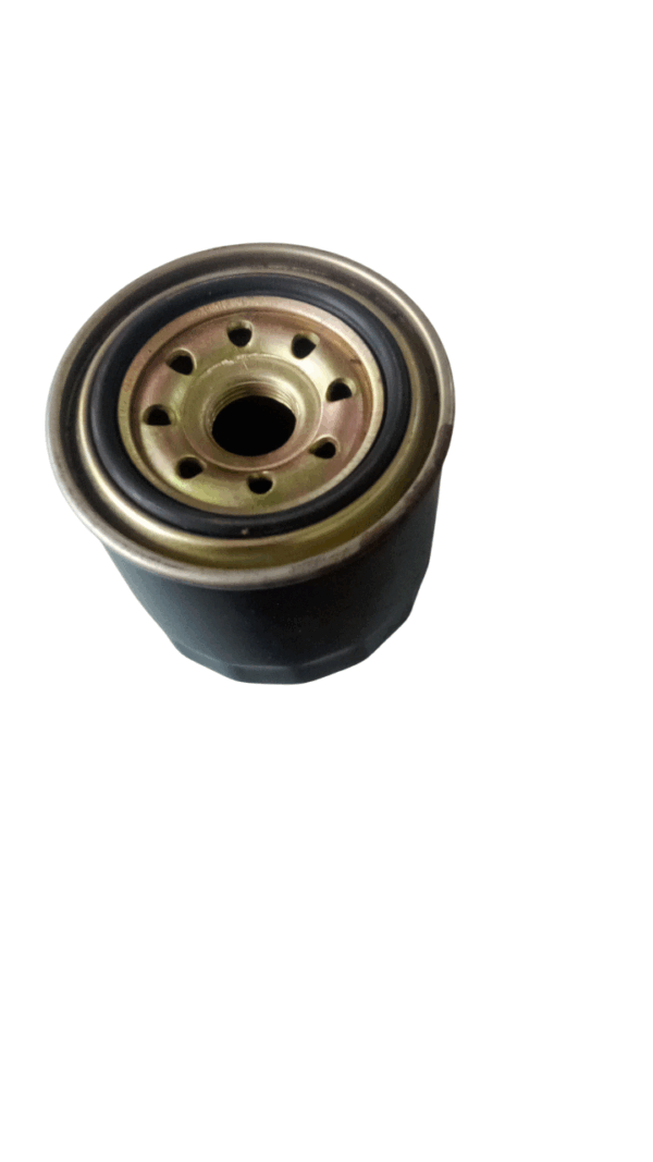 173171 FILTER